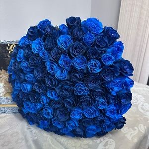 Meet your Posher, Noem ghazarosyan